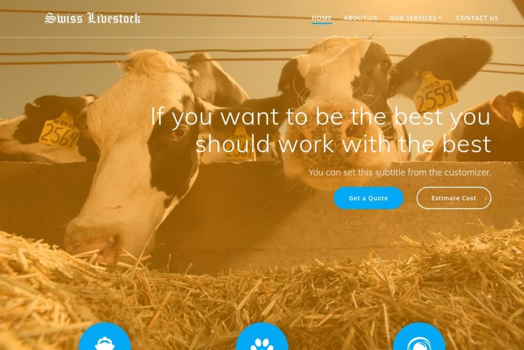 Swiss Livestock